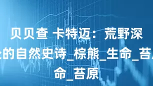 贝贝查 卡特迈：荒野深处的自然史诗_棕熊_生命_苔原
