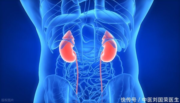 摩根策酪 一种能当菜吃的中药，是高血糖和高血脂的“天敌”，适合多类人群